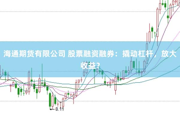 海通期货有限公司 股票融资融券：撬动杠杆，放大收益？