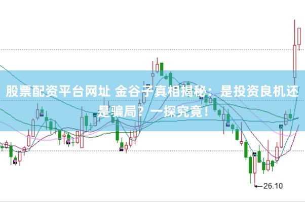 股票配资平台网址 金谷子真相揭秘:是投资良机还是骗局?一探究竟!