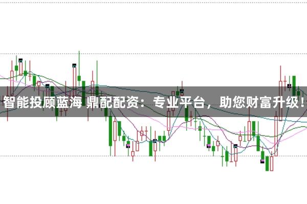 智能投顾蓝海 鼎配配资:专业平台,助您财富升级!